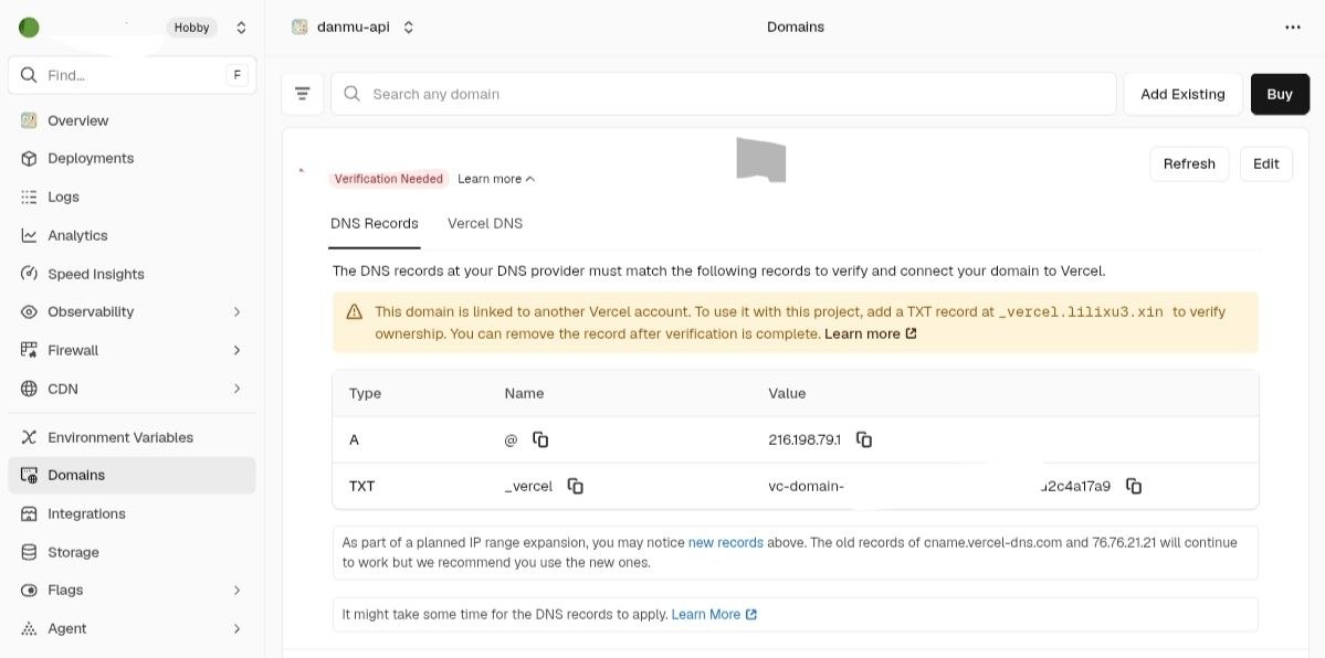 Vercel Domains 页面显示 A 和 TXT DNS 记录